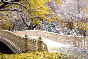 Fall Central Park New York361075189